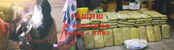 стаф Мурманск