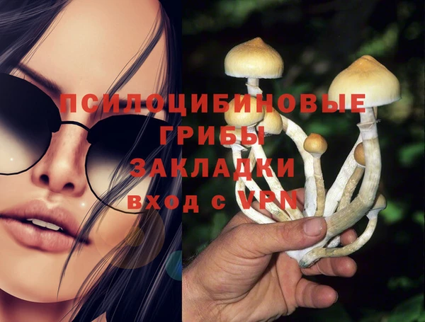 молекула духа Михайловск