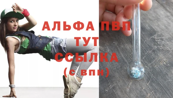 стаф Нижневартовск