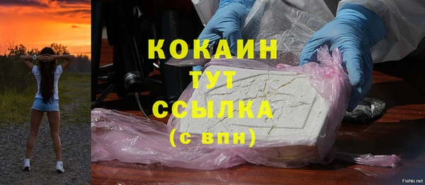 молекула духа Михайловск