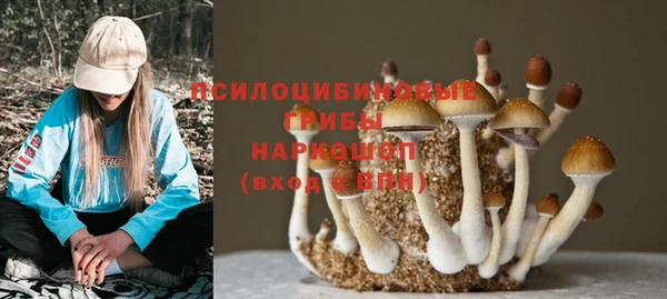 СК Михайловка